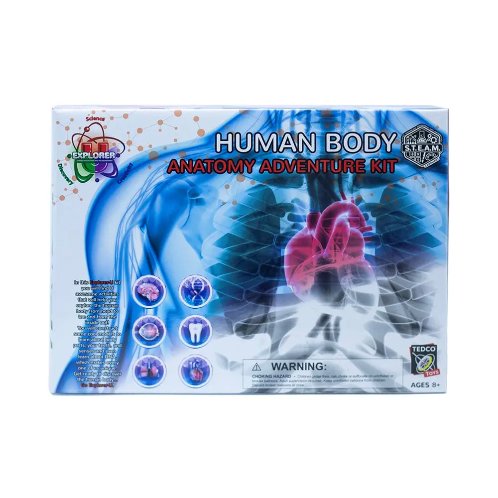 Tedco Toys Explorer-U Human Body Anatomy Exploration Kit 1