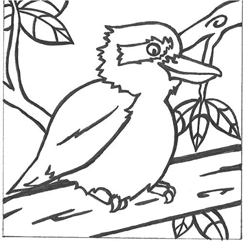 Paintadoodle Creative Arts Laughing Kookaburra Canvas Painting Kit 1