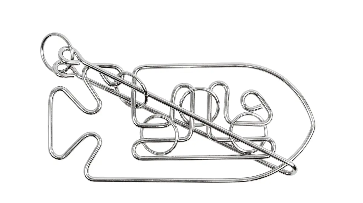 Professor Puzzle Einstein Collection Fish Metal Puzzle 1