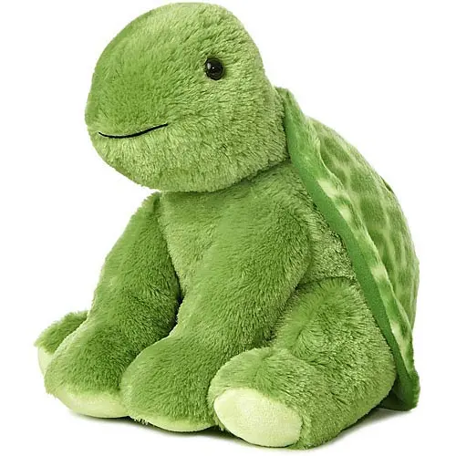 Turtle Promo (2025) Amusing Shell Explorer 1
