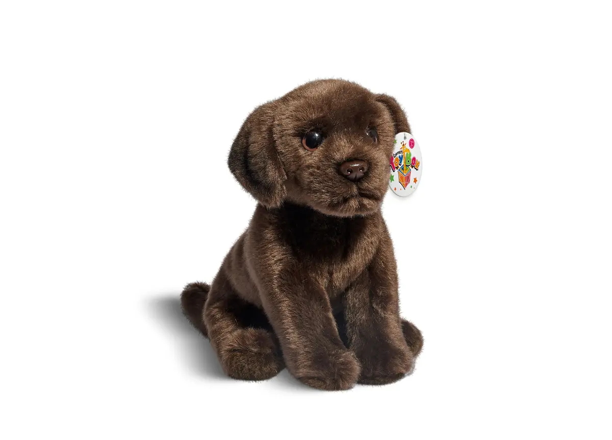 Geoffrey's Toy Box 10-Inch Plush Labrador Puppy - Exclusive To Macy's 1