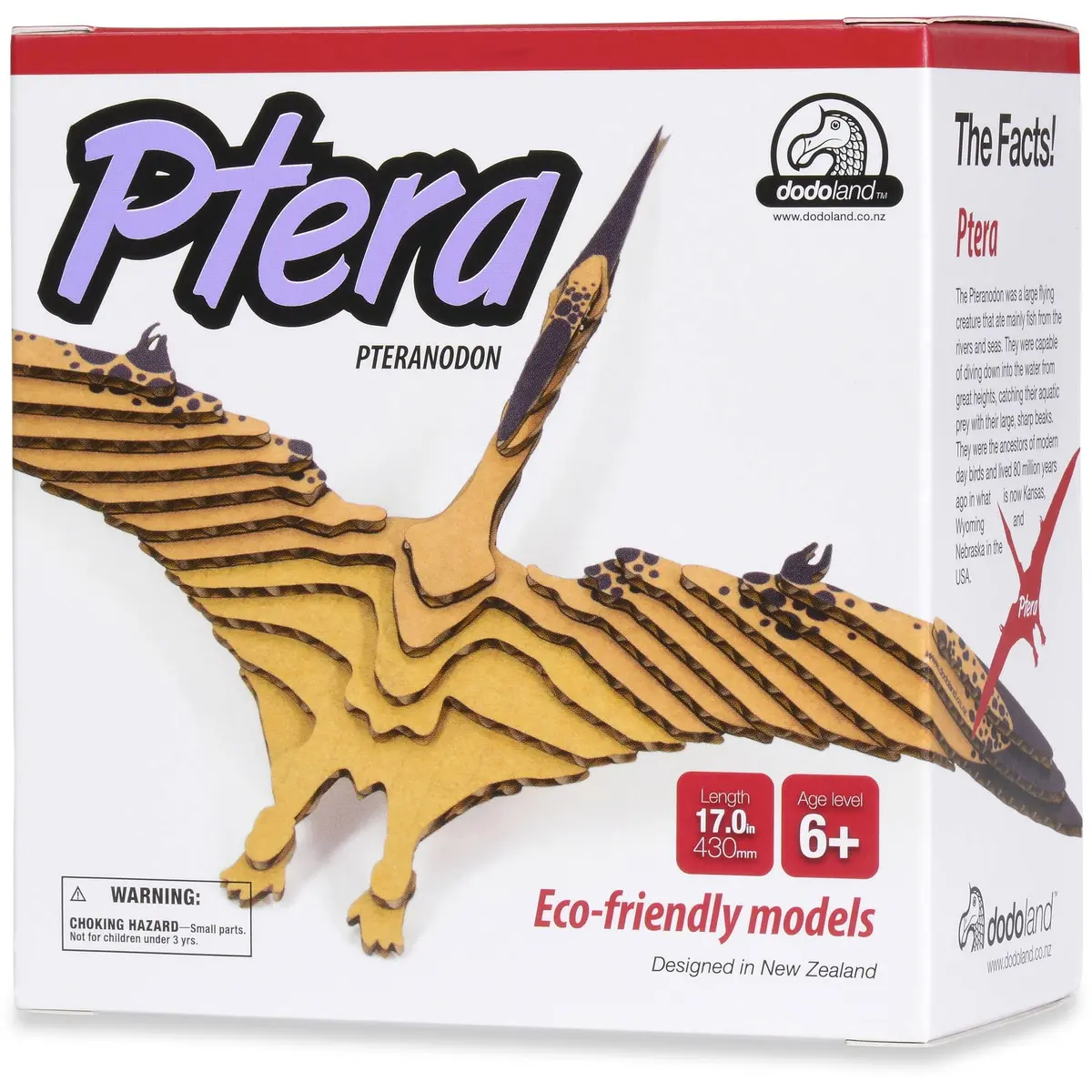 Dodoland Ptera Junior Eco-Friendly 3D Model Dinosaur Kit - Multicolor 1