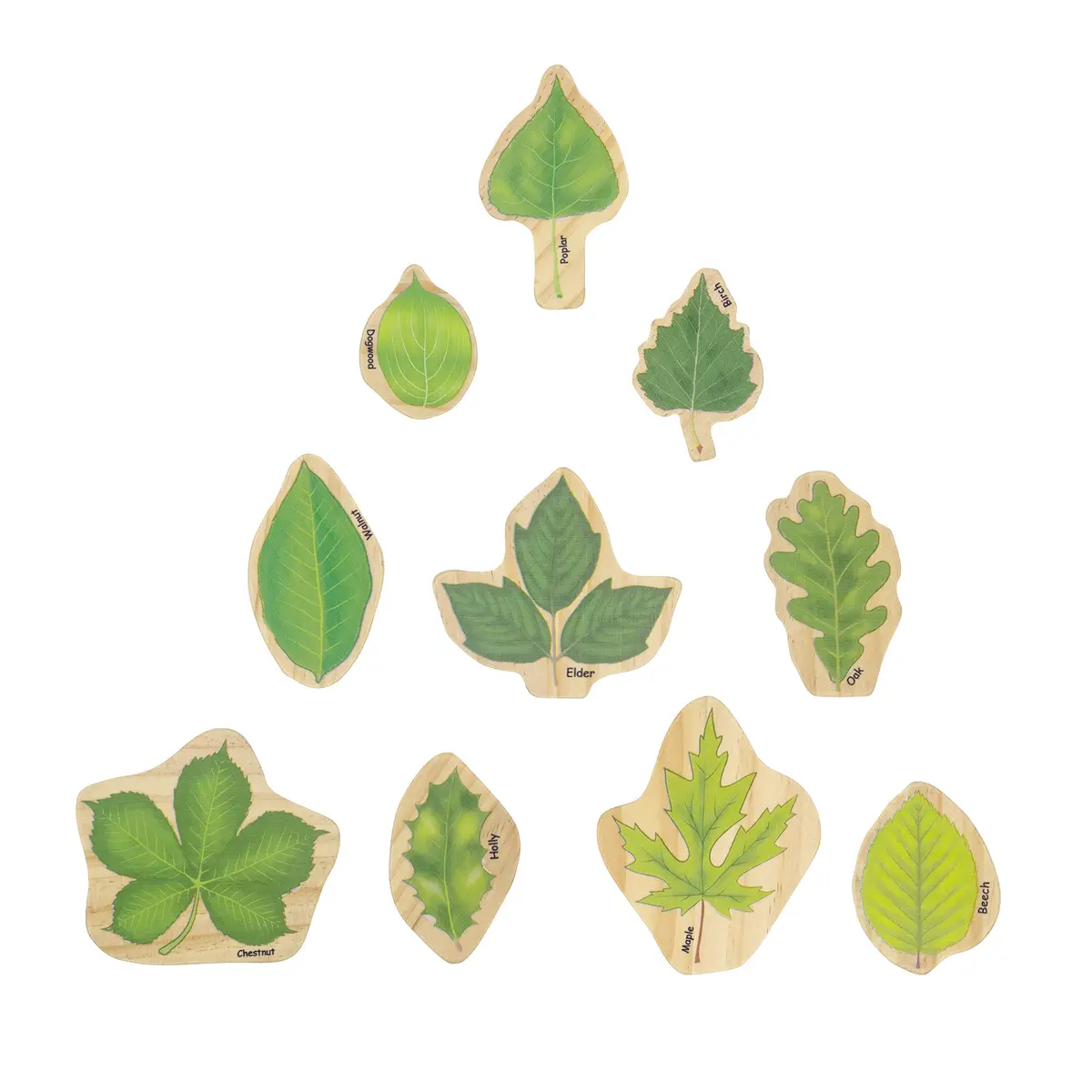 The Freckled Frog Stacking Leaves - Educational Wooden Block Set 1