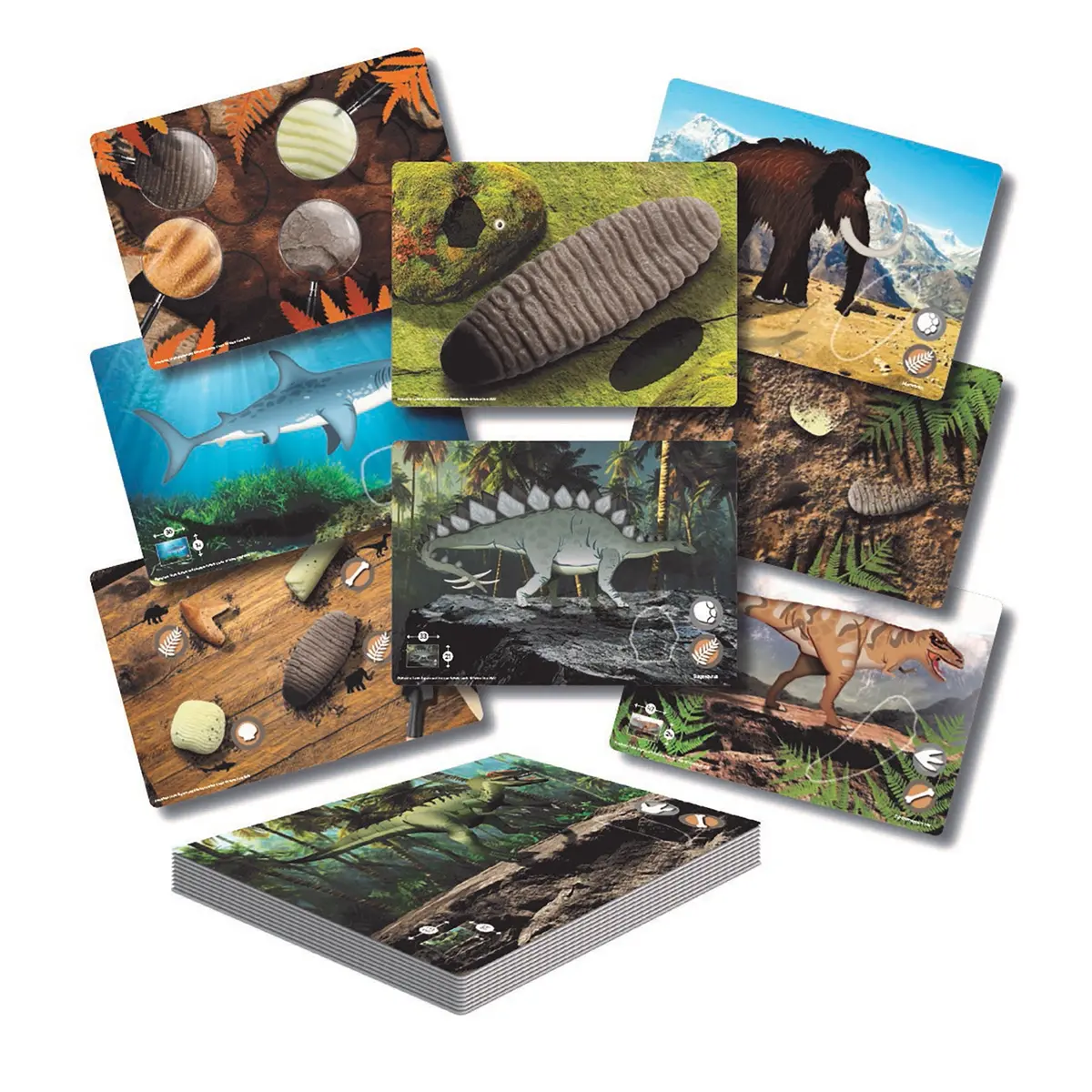 Yellow Door Prehistoric Teeth Activity Cards - Discover Dinosaur Secrets - Set Of 16 1