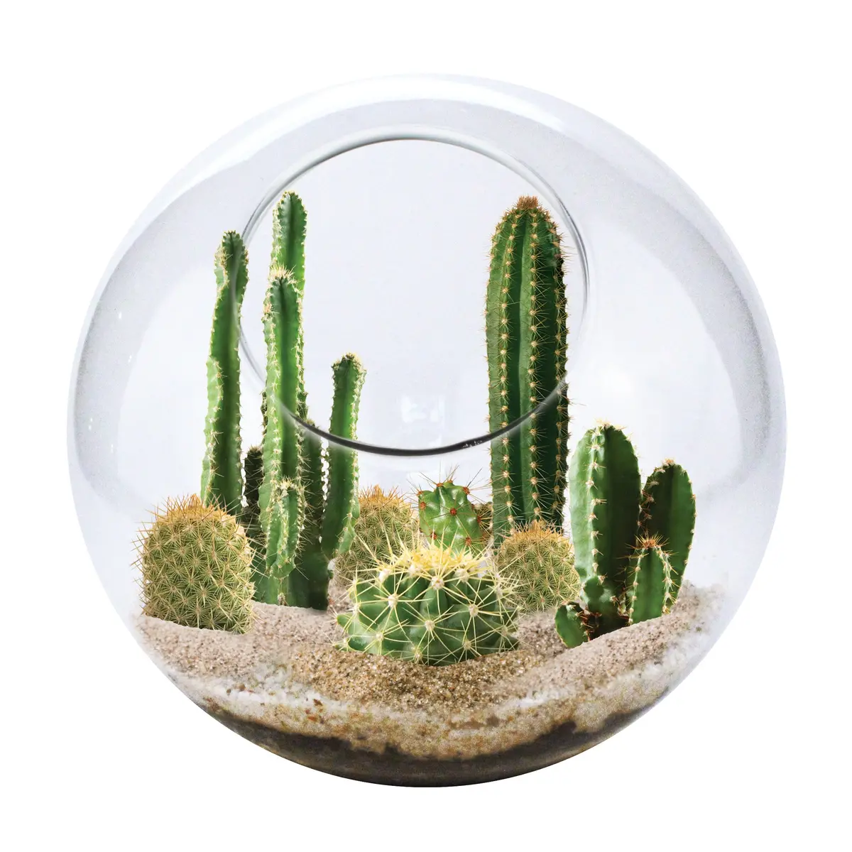 Ecosphere - Mini Desertscape - Vibrant Glass Terrarium Kit 1