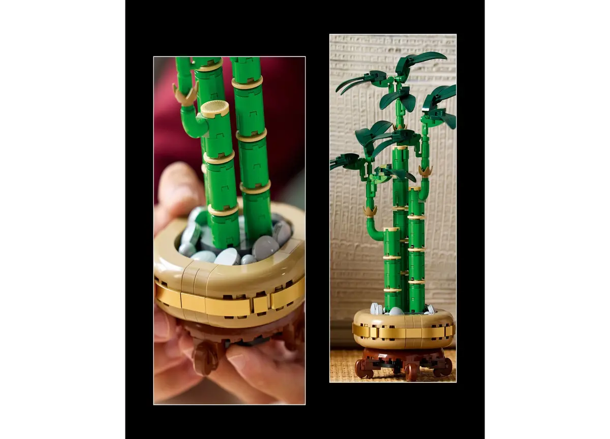 Lego Botanicals Lucky Bamboo Building Set 10344, 325 Pieces 2