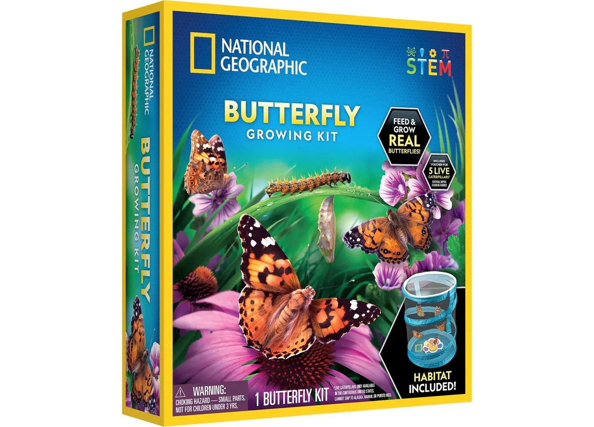 National Geographic Butterfly Growing Kit – Discover Metamorphosis 1