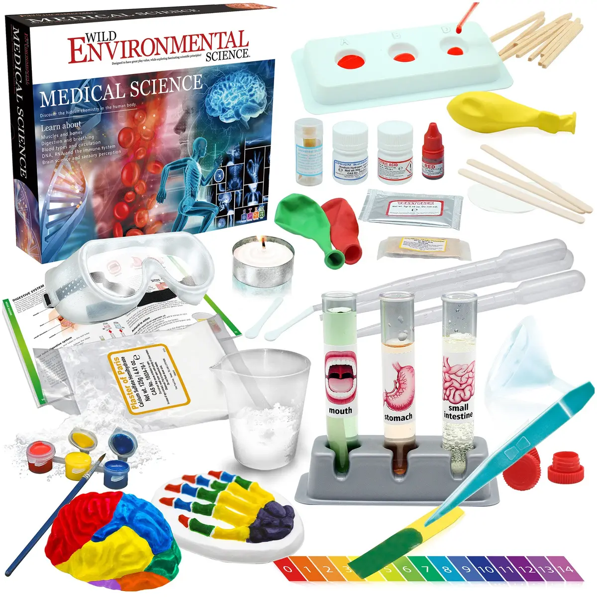 Wild Environmental Science Medical Science Stem Kit For Ages 8+ 1