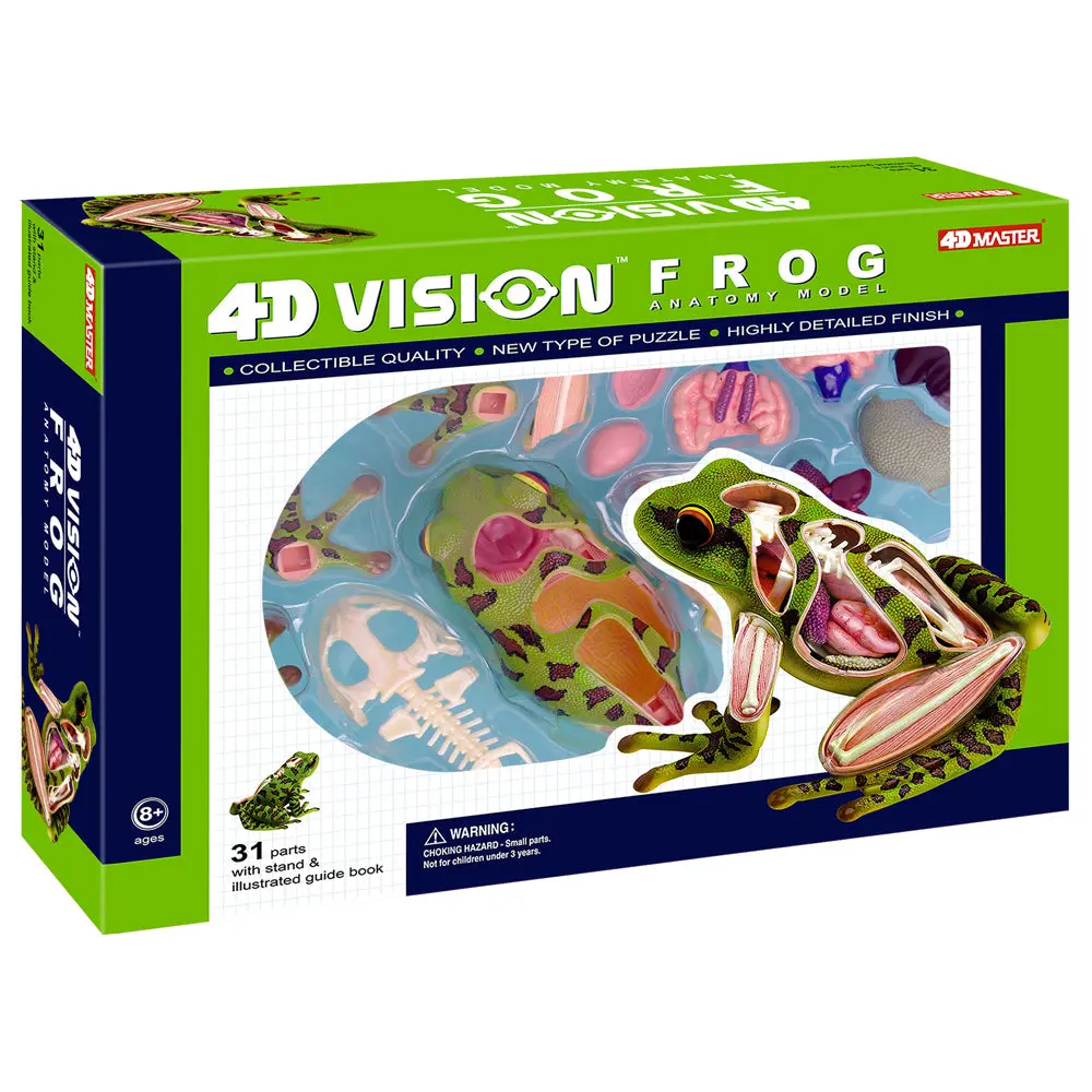 4D Master Frog Anatomy Model Educational Science Kit 1
