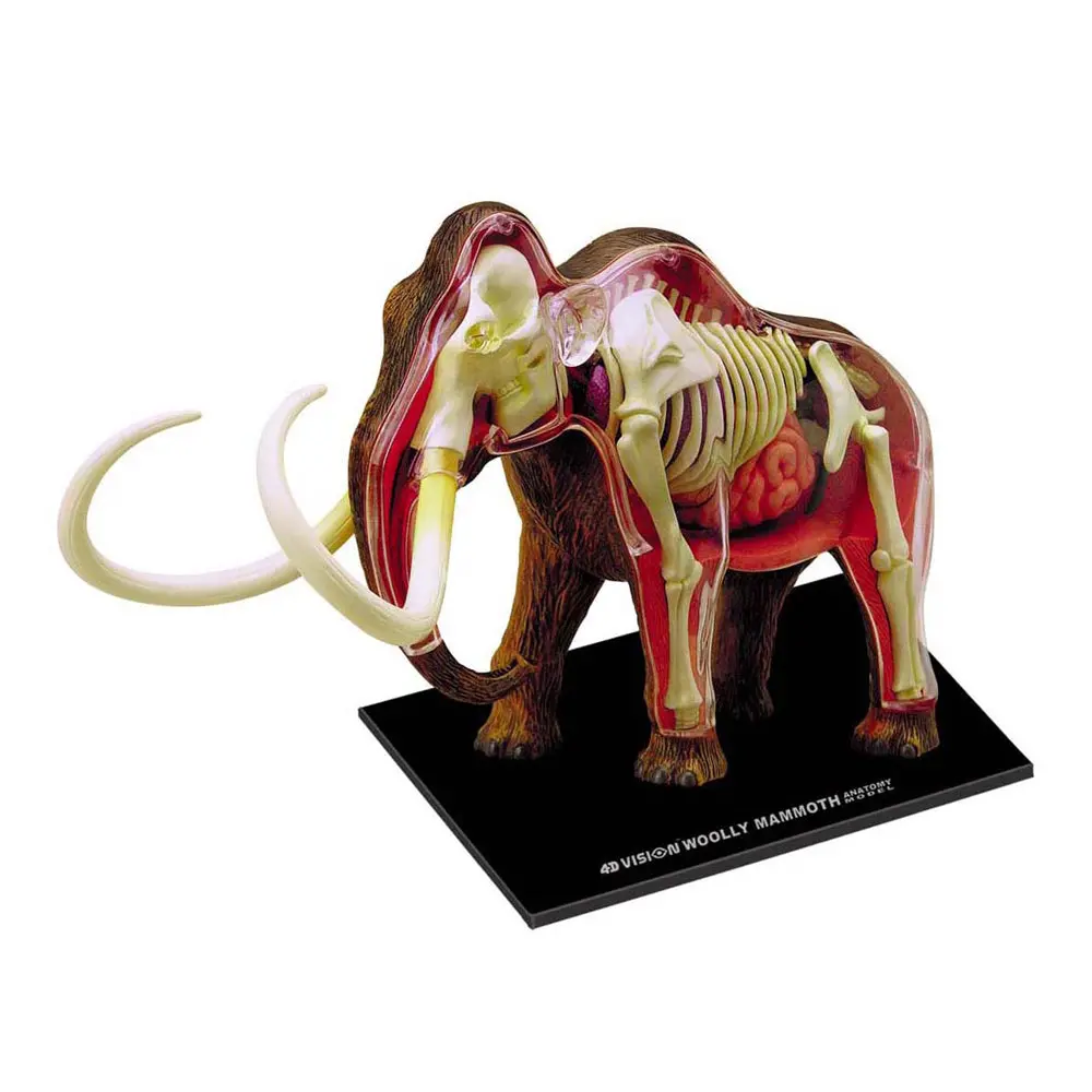 4D Master Wooly Mammoth Anatomy Model - Educational Science Toy 1