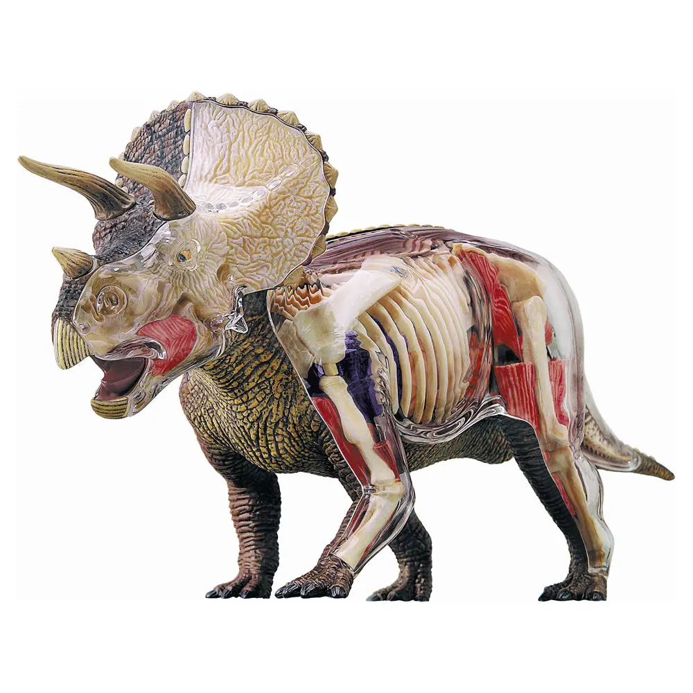 4D Master Triceratops Anatomy Model - Detailed Dinosaur Learning Kit 1