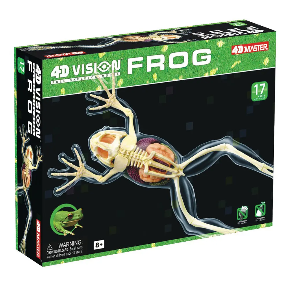 4D Master Full Skeleton Frog Model Anatomy Kit 1