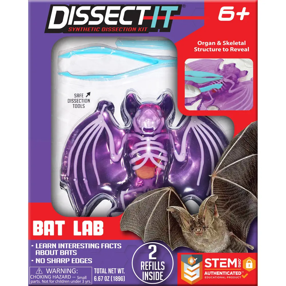 Dissect-It Bat Lab: Synthetic Dissection Kit With Stem Learning Guide For Kids Ages 6+ 1