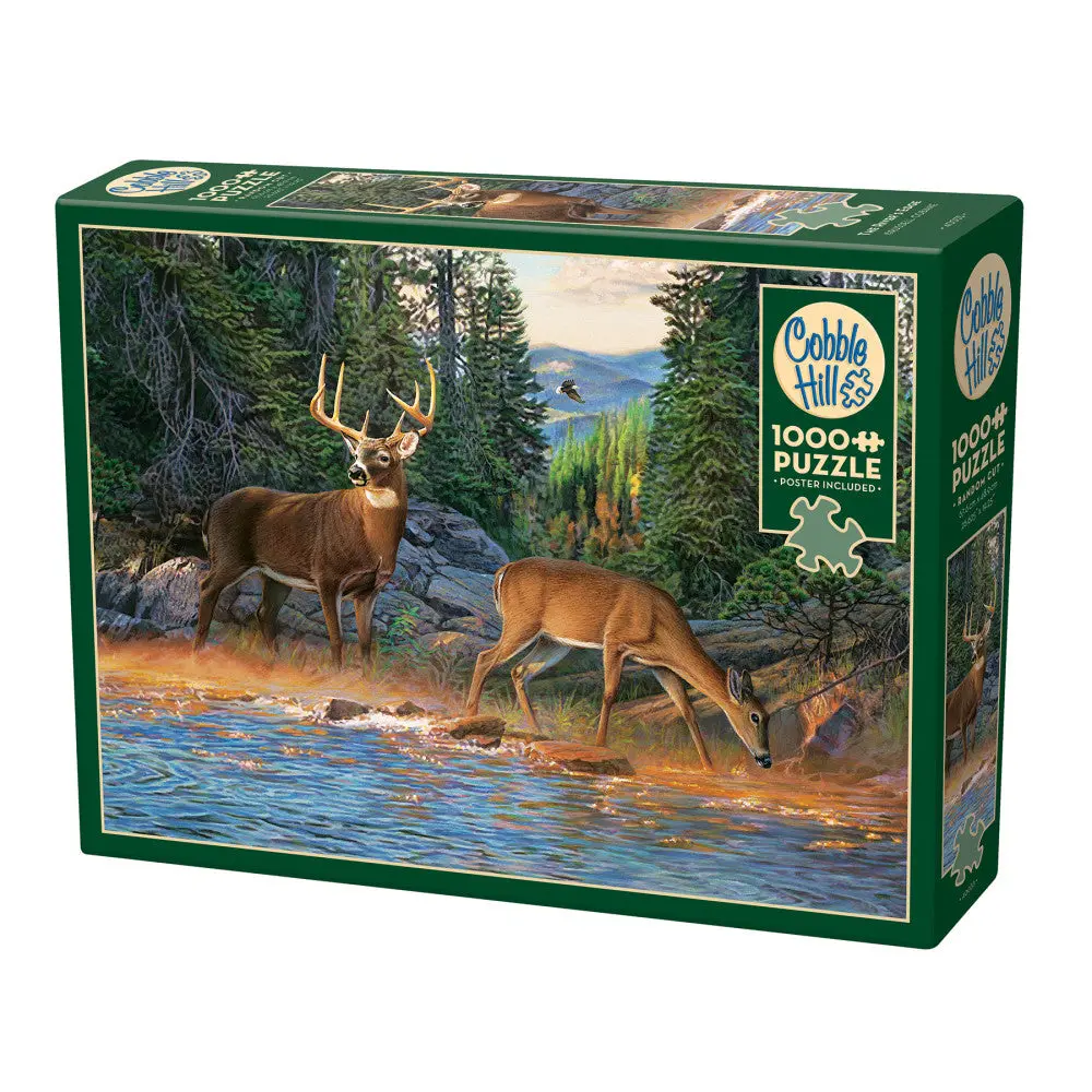 Cobble Hill The River's Edge 1000 Piece Puzzle - Reference Poster Included 1