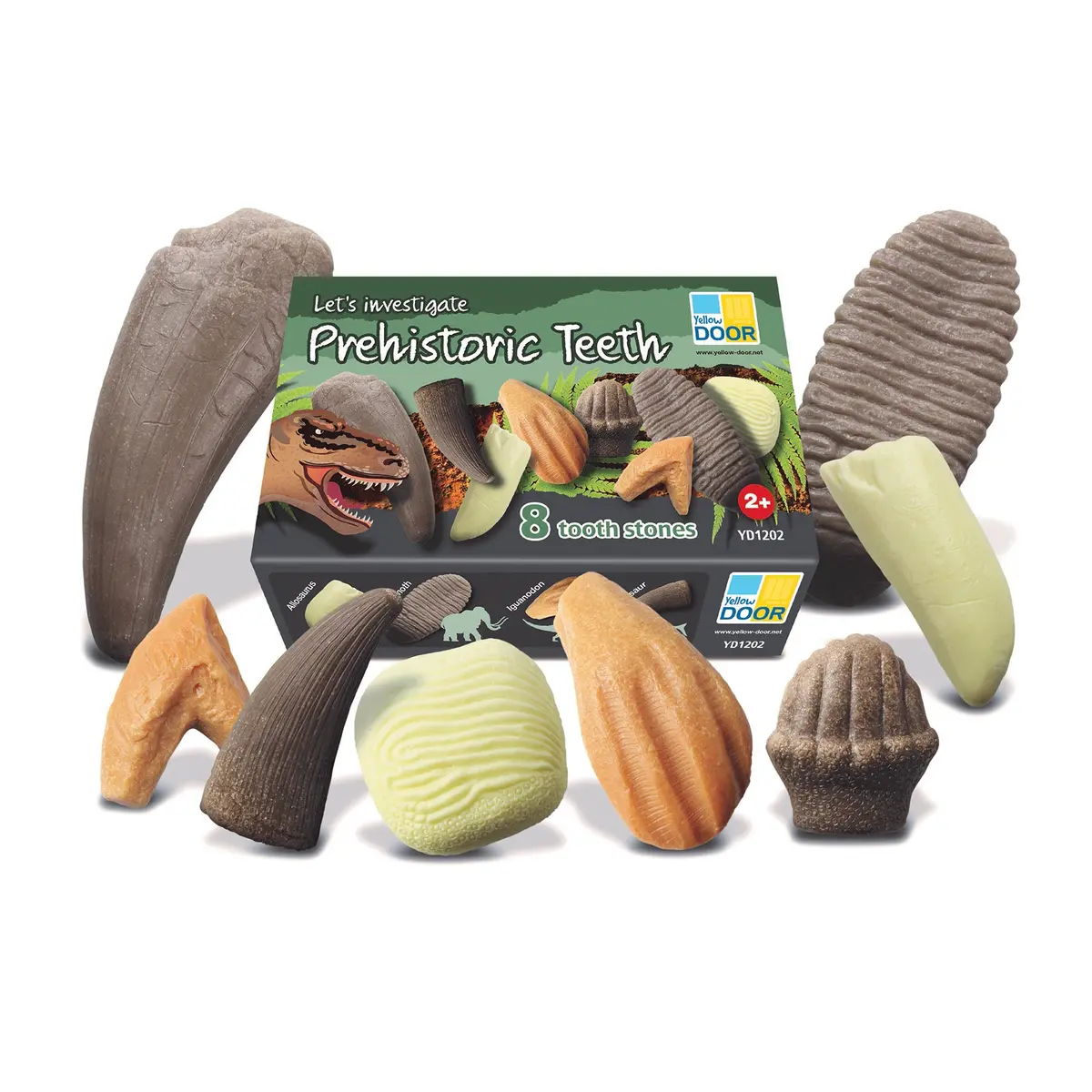 Yellow Door Let's Investigate - Prehistoric Teeth Discovery Set Of 8 1
