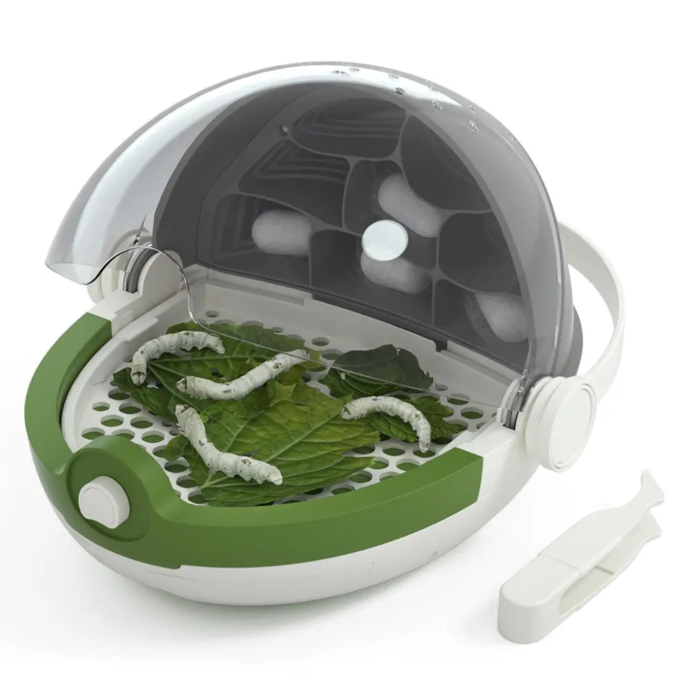 Hape Science Can Silkworm Growth Station Kit - Observe Lifecycle 1