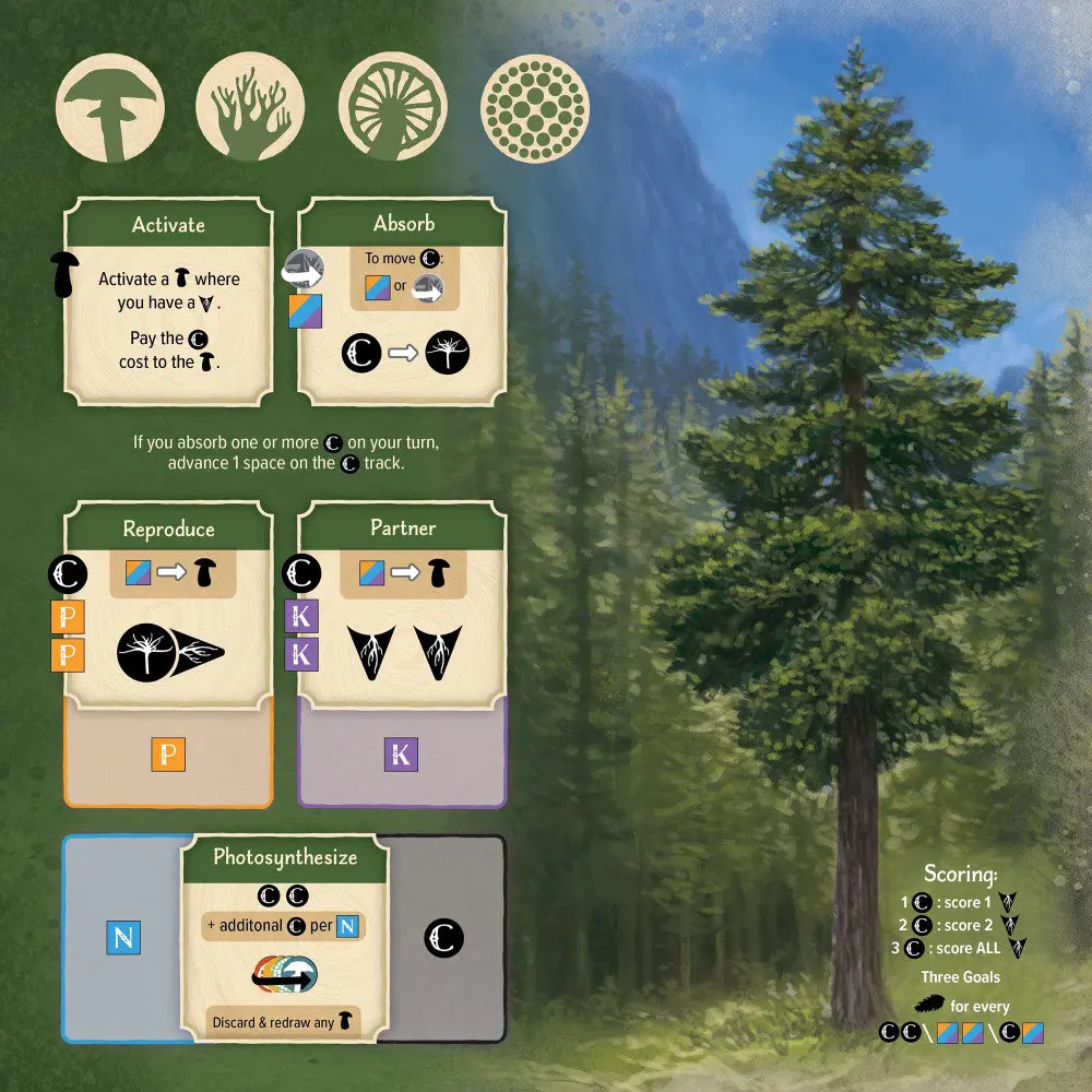 Aeg: Undergrove - Forest Fungi Strategy Board Game 1