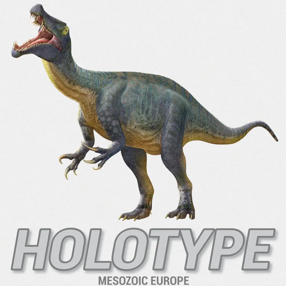 Brexwerx Games: Holotype - Mesozoic Europe Expansion - Paleontology Strategy Board Game 1