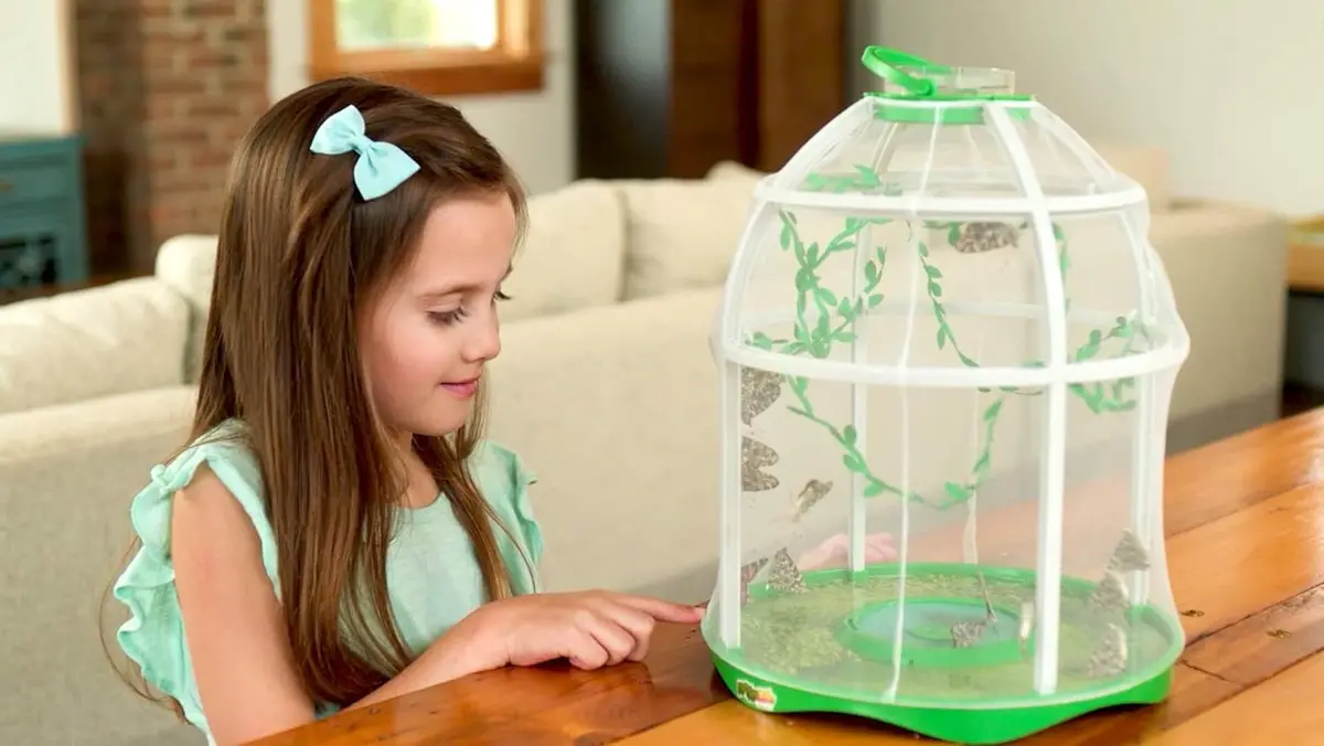 Uncle Milton Butterfly Observing Science Kit 1