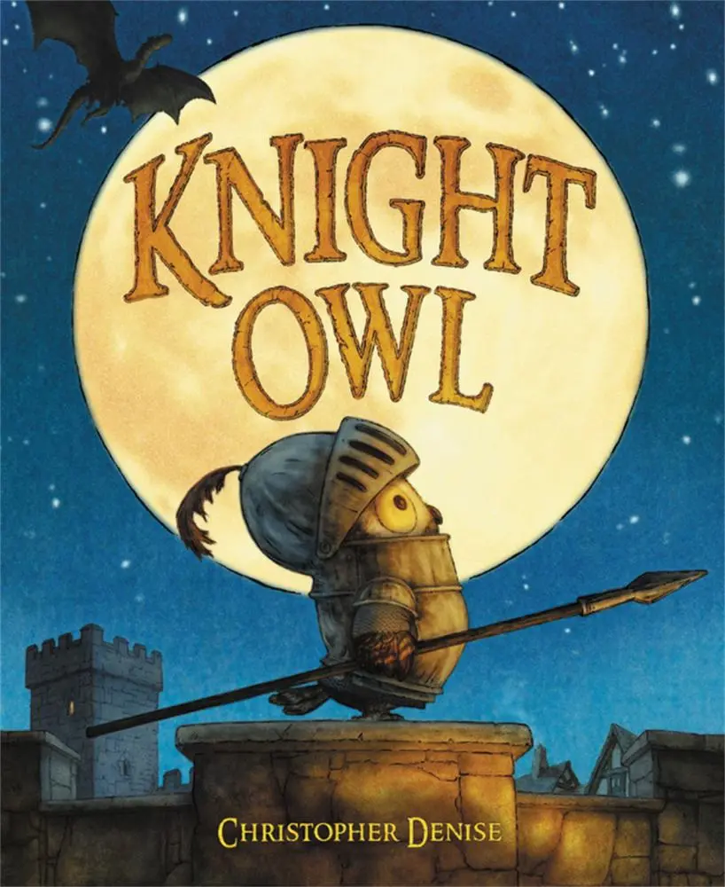 Knight Owl: Adventures Of A Tiny Hero Hardcover Picture Book 1