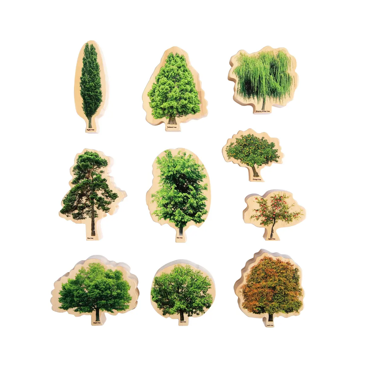 The Freckled Frog Seasons Wooden Trees - Educational Block Set 1