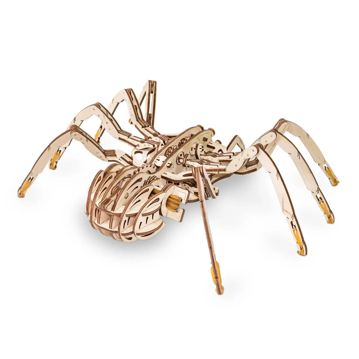 Ewa Eco-Wood-Art Spider 3D Wooden Stem Construction Kit 1