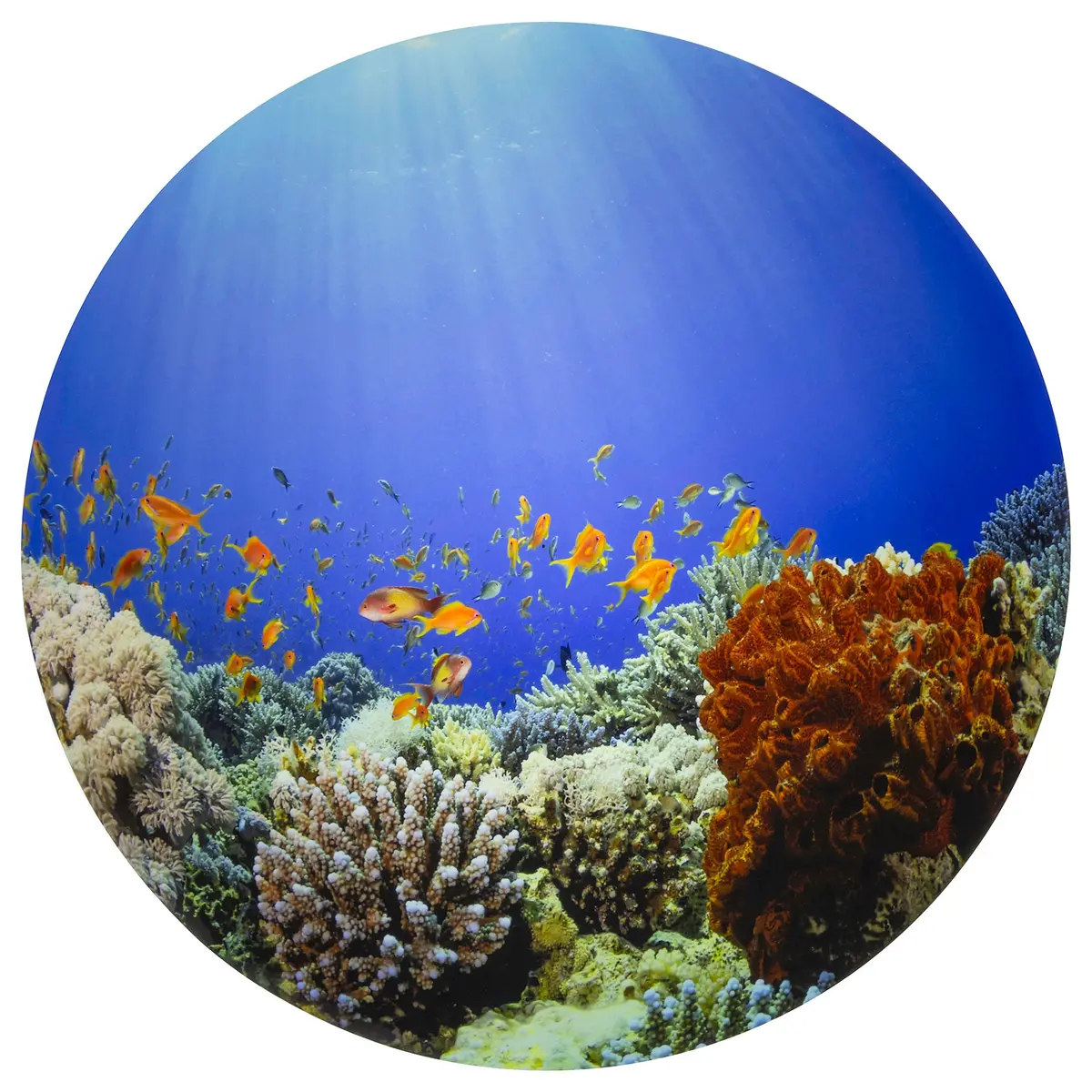 Tickit Under The Sea Discovery Play Mat - Ocean Exploration 1