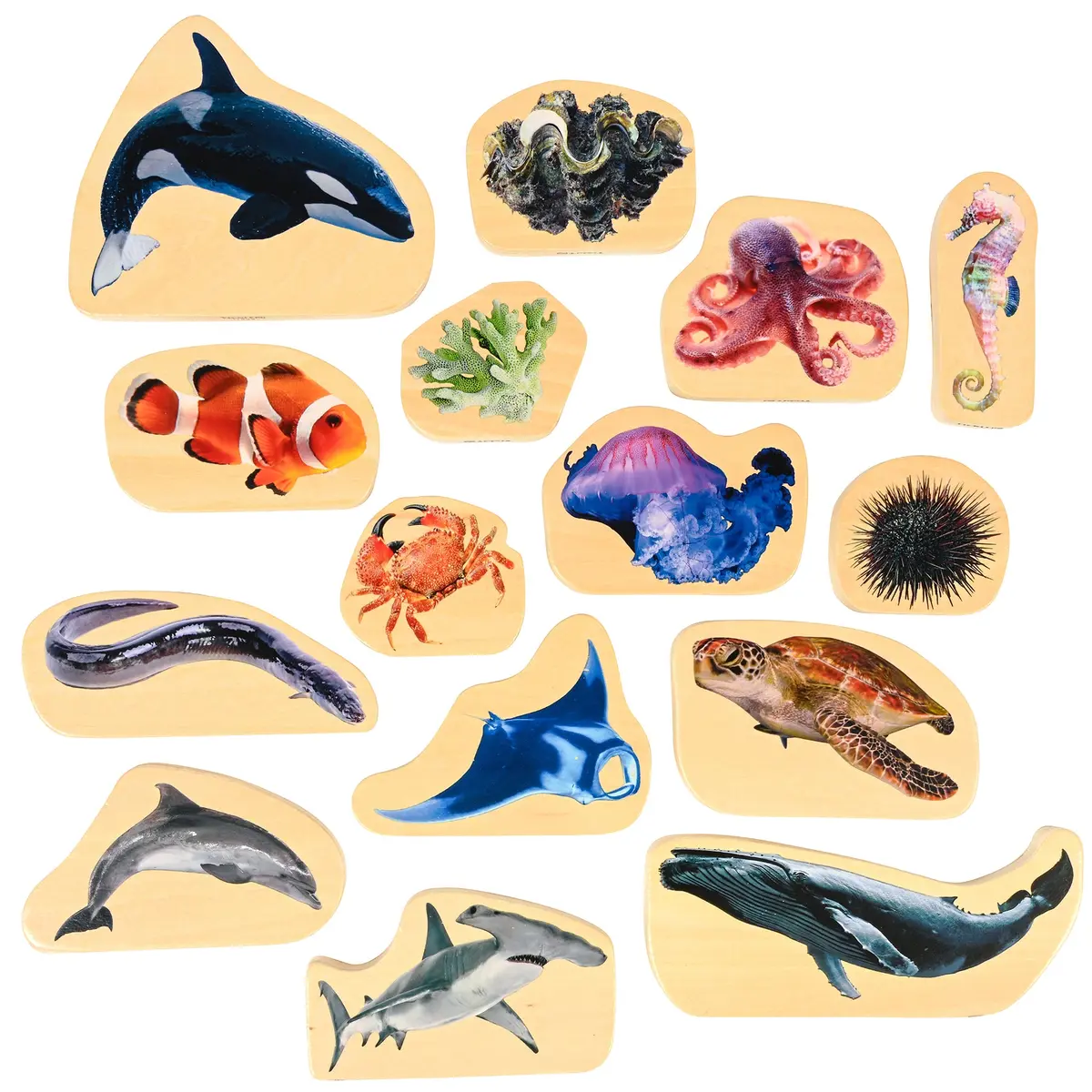 Tickit Wooden Sea Life Blocks - Colorful Marine Exploration Set Of 15 1