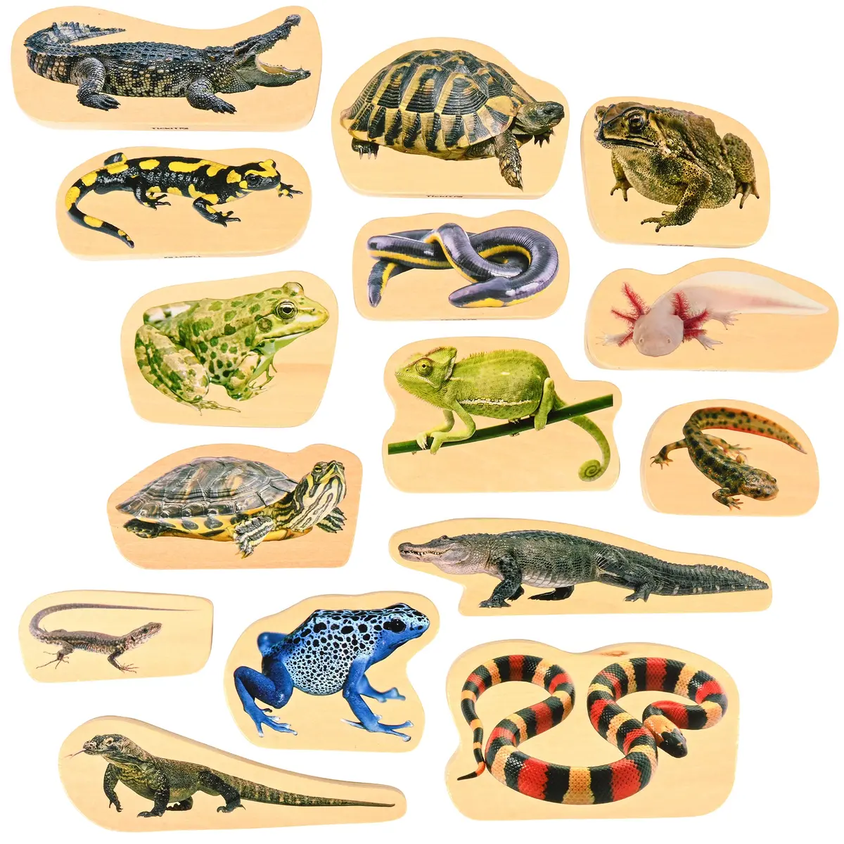 Tickit Wooden Reptile & Amphibian Blocks - 15-Piece Set 1