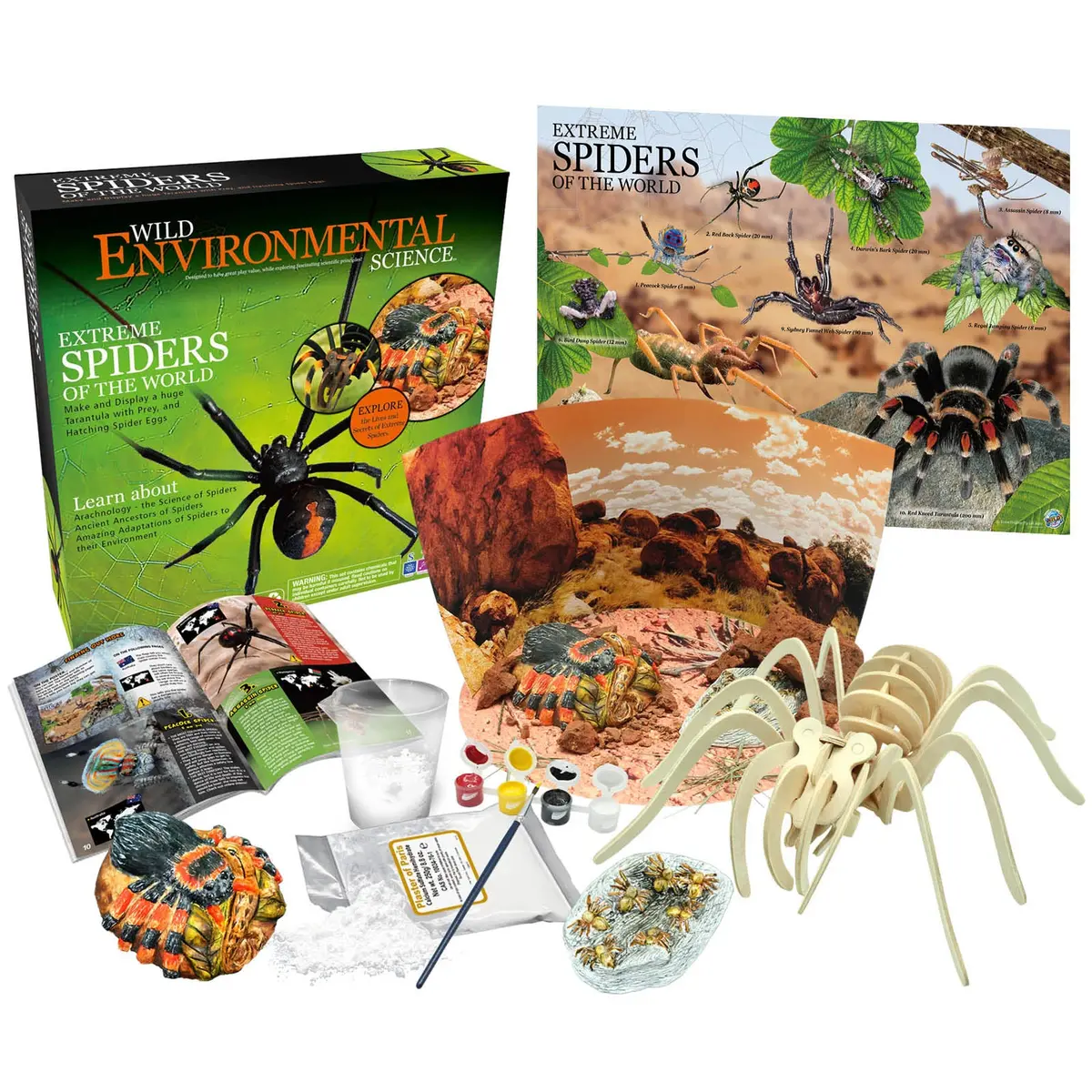 Wild Environmental Science Extreme Spiders Kit - Educational Spider Model Set 1