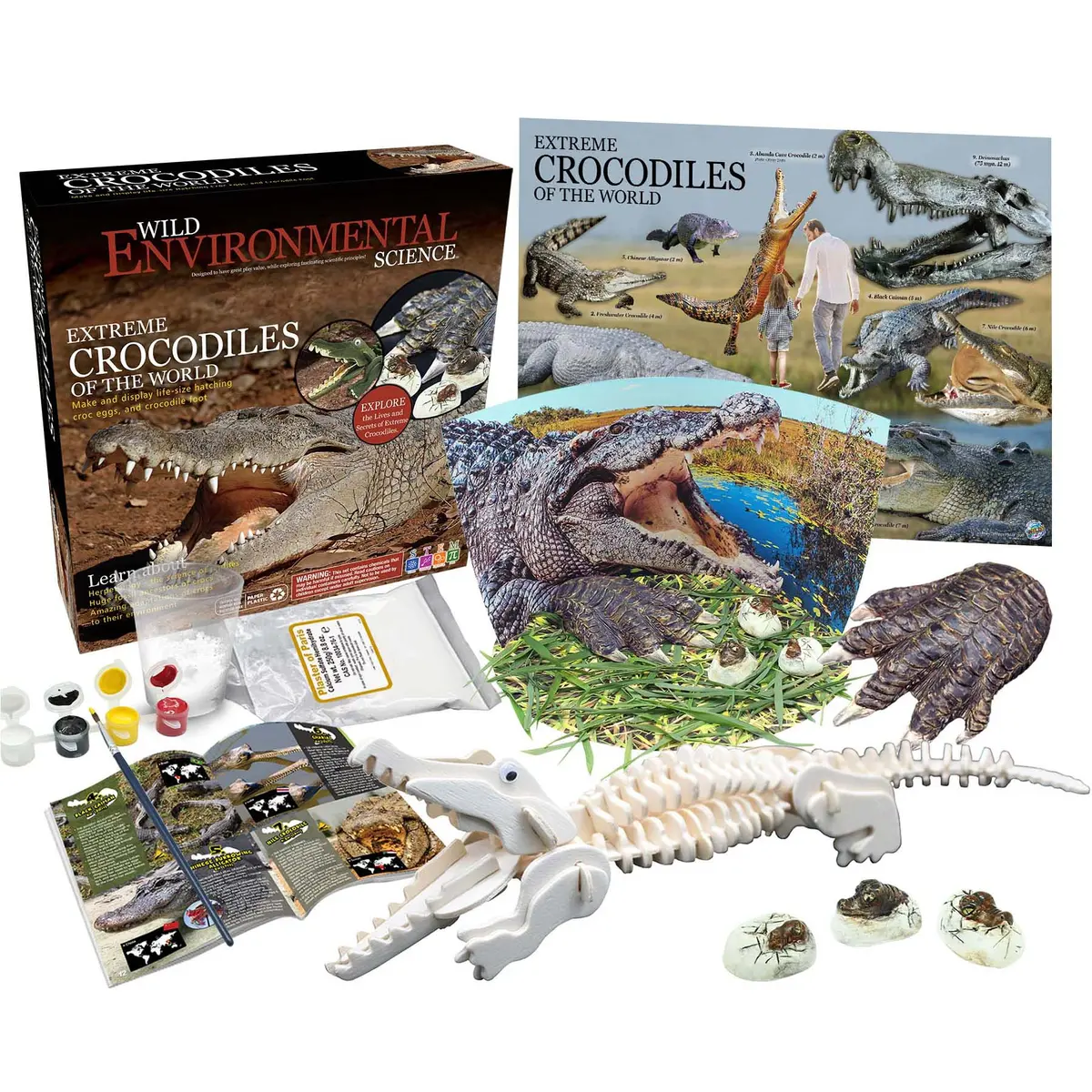 Wild Environmental Science Extreme Crocodiles Kit - Craft & Learn About Crocodiles 1