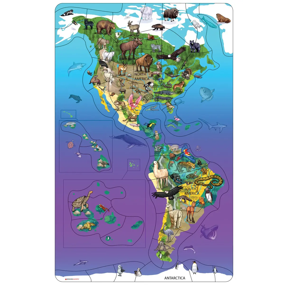 Dowling Magnets Animal Magnetism Wildlife Map Puzzle - Magnetic North & South America 1