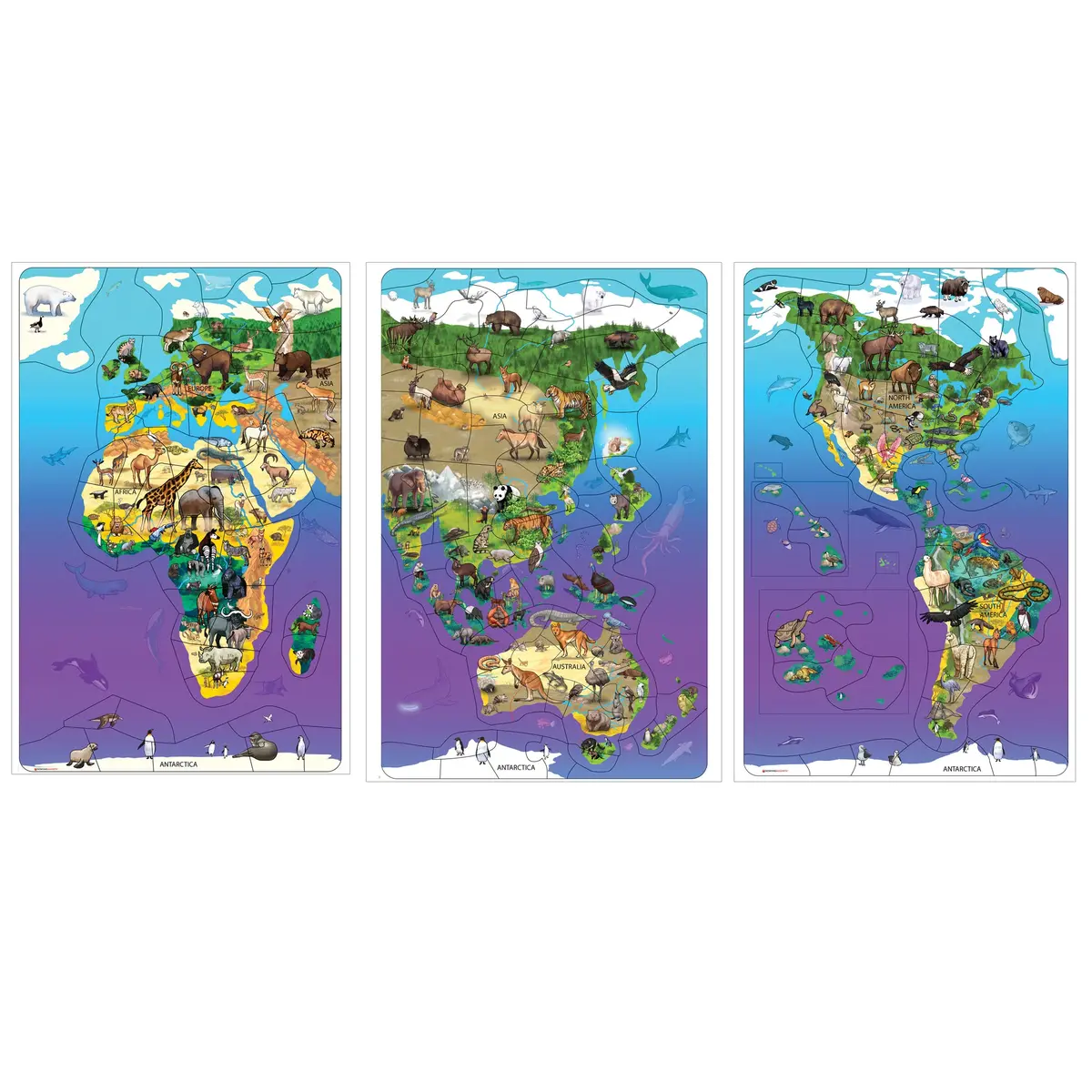 Dowling Magnets Animal Magnetism Magnetic Wildlife Map Puzzle Bundle - Set Of 3 1