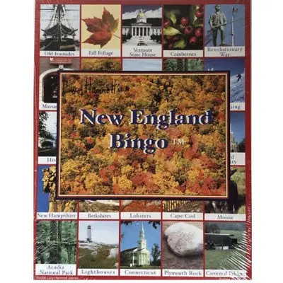 Lucy Hammett New England Bingo Family Board Game 1