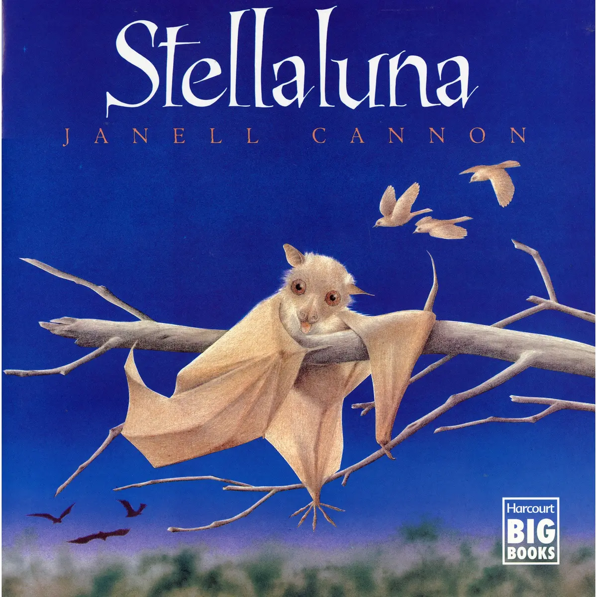 Stellaluna Big Book - Hardcover Edition By Janell Cannon 1