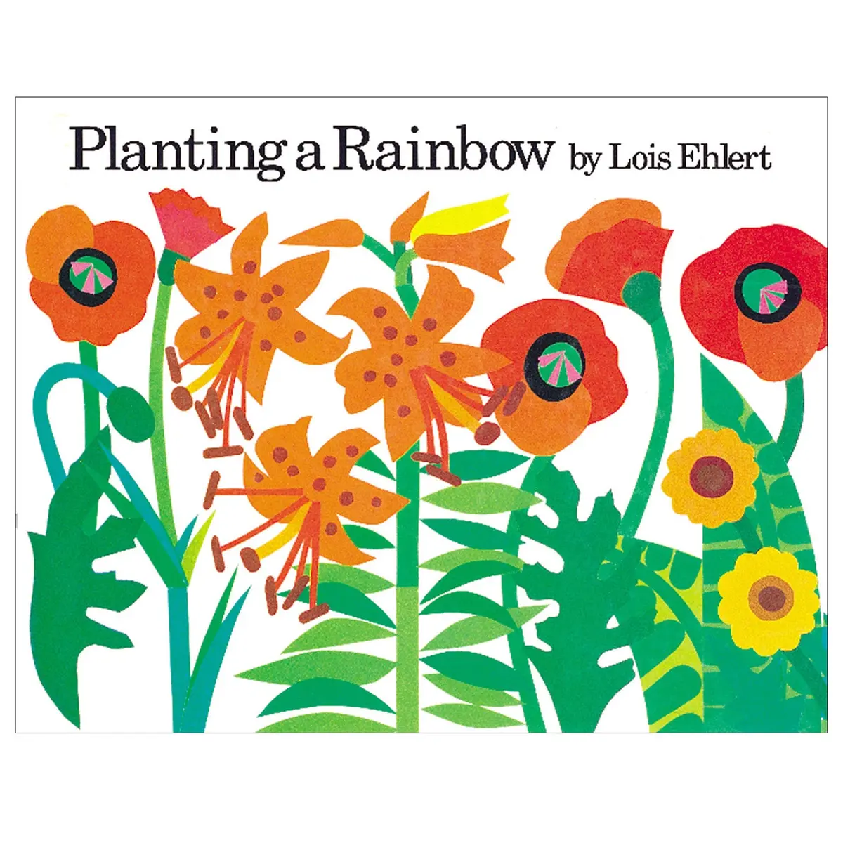 Houghton Mifflin Harcourt Planting A Rainbow - Big Book Series 1
