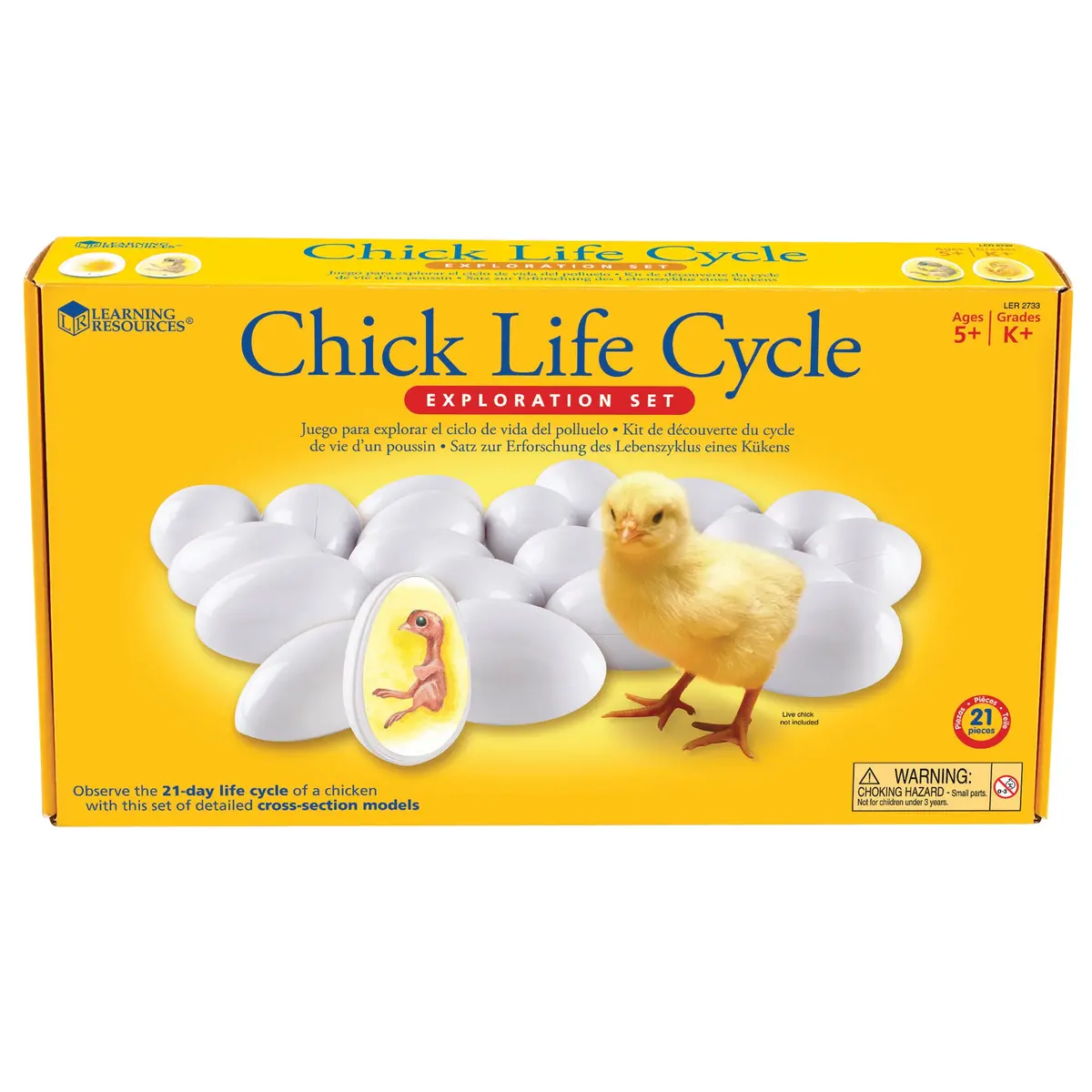 Learning Resources Chick Life Cycle Exploration Set - Educational Science Toy 1
