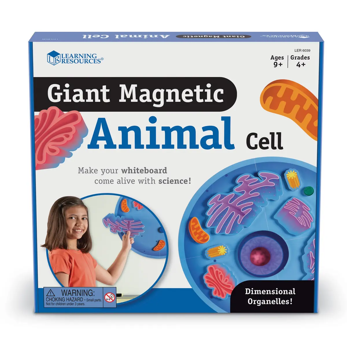 Learning Resources Giant Magnetic Animal Cell Model - Educational Toy 1