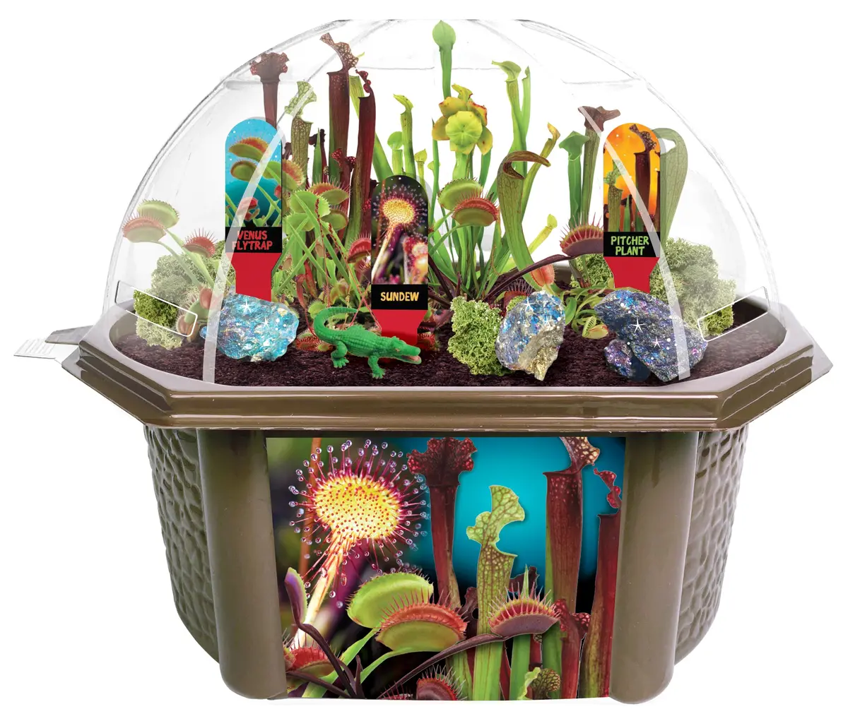 Toys By Nature Carnivorous Creatures Biosphere Terrarium Kit 1
