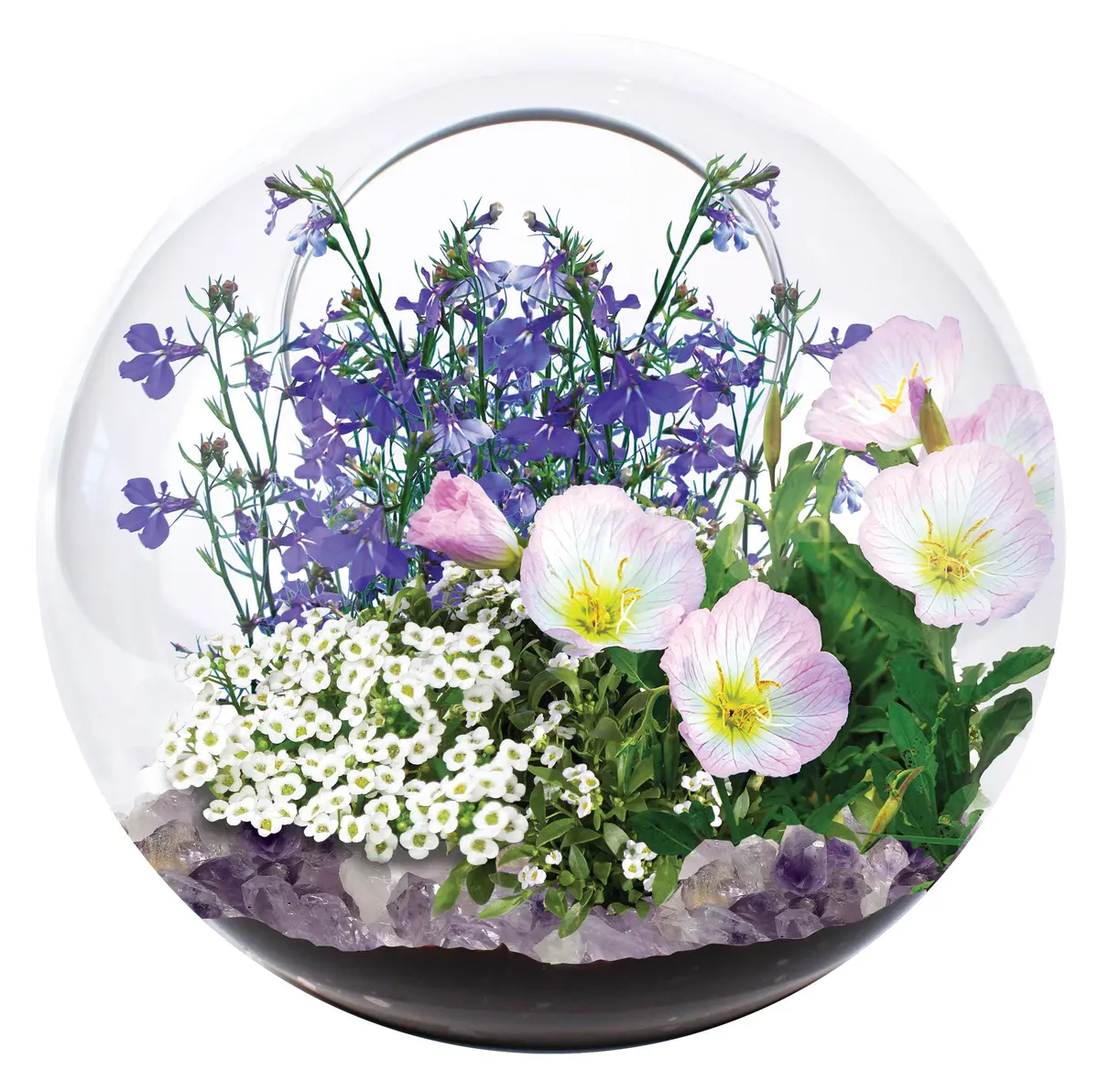 Enchanted Garden Mini Fairy Triad Glass Terrarium Kit 1