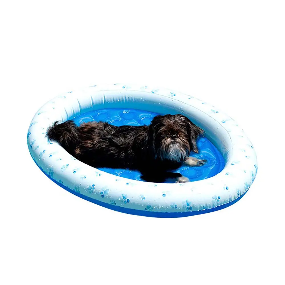 Paws Aboard! Small Dog Inflatable Pool Float 1