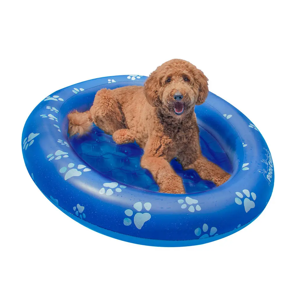 Poolcandy Inflatable Large Dog Pet Float - Durable Canine Pool Lounger 1