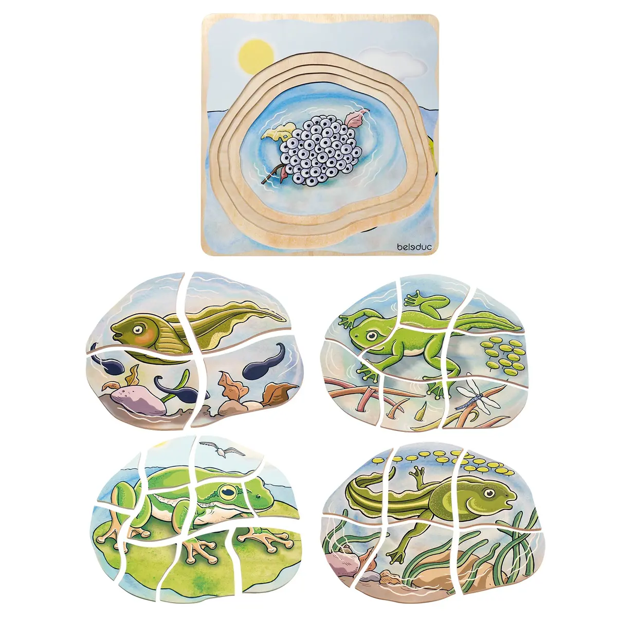 Beleduc Layer Puzzle - Frog Lifecycle - 5 Wooden Layers - 28 Pieces 1