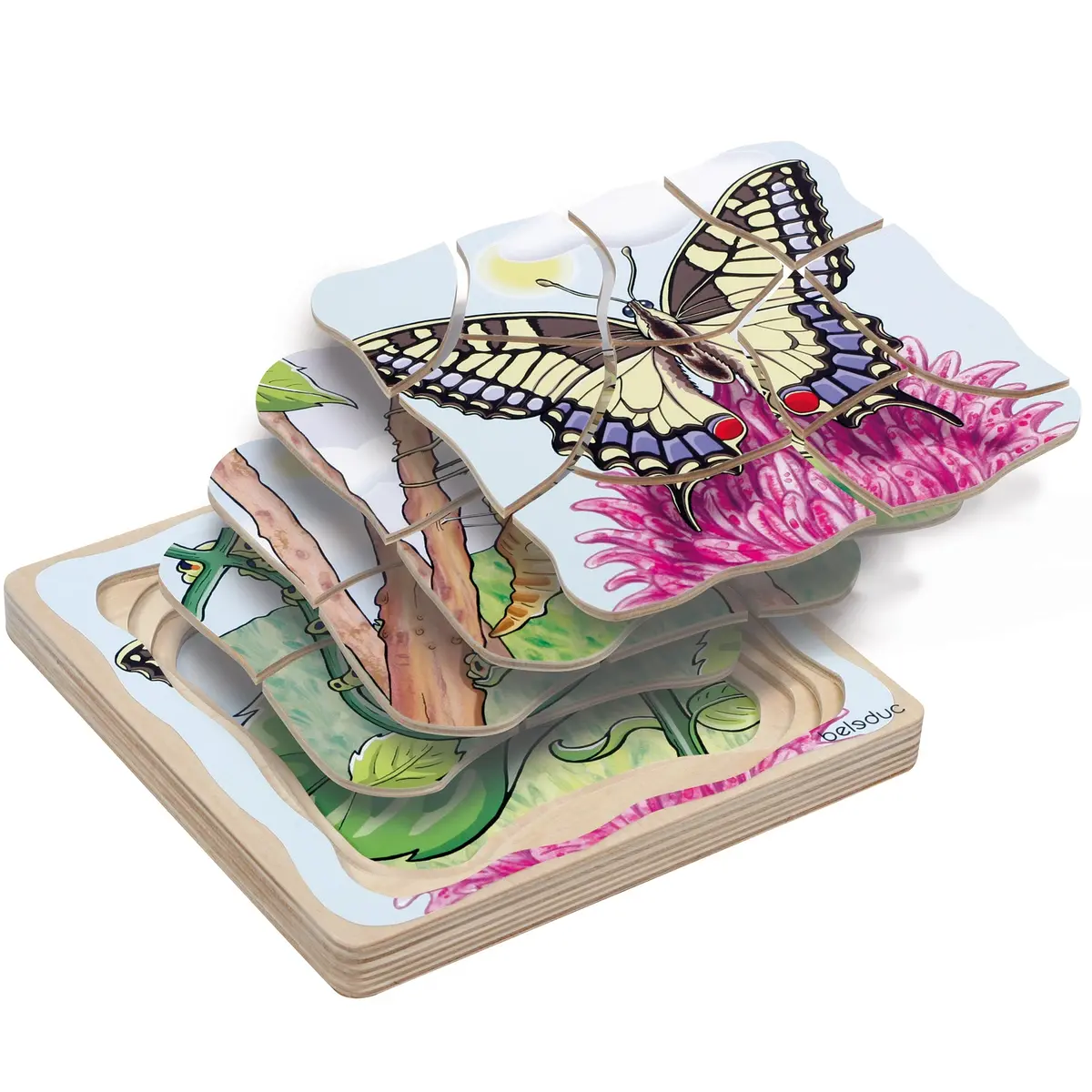 Beleduc Layer Puzzle - Transformative Butterfly Lifecycle 1