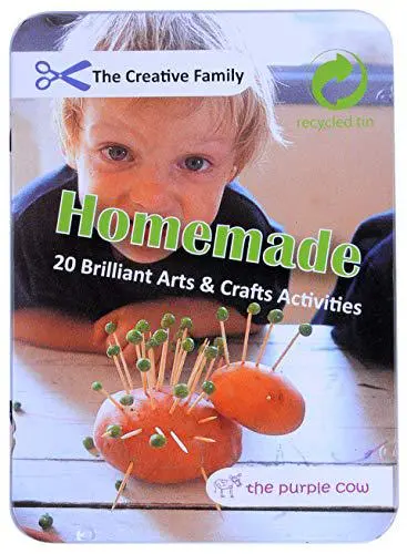 The Purple Cow Homemade The Creative Family 20-Activity Craft Kit 1