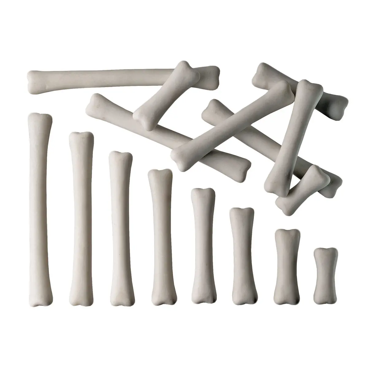 Yellow Door Dinosaur Bones Match & Measure Adventure Set 1