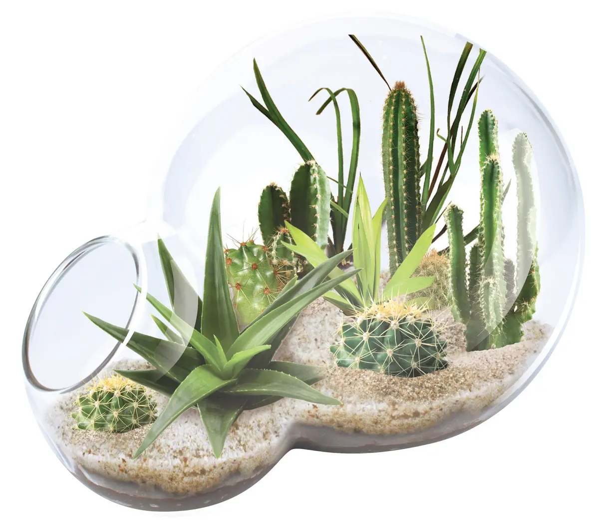 Unique Gardener Double Sphere Glass Terrarium - Desert Escape Kit 1
