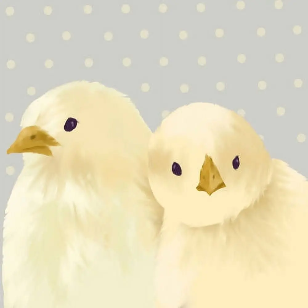 Oopsy Daisy Mike & Mark Sweet Chicks Canvas Art 1