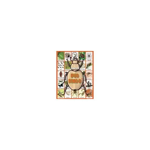 Bug Bingo Insects, Arachnids & Creepy Crawlers Educational Game 1