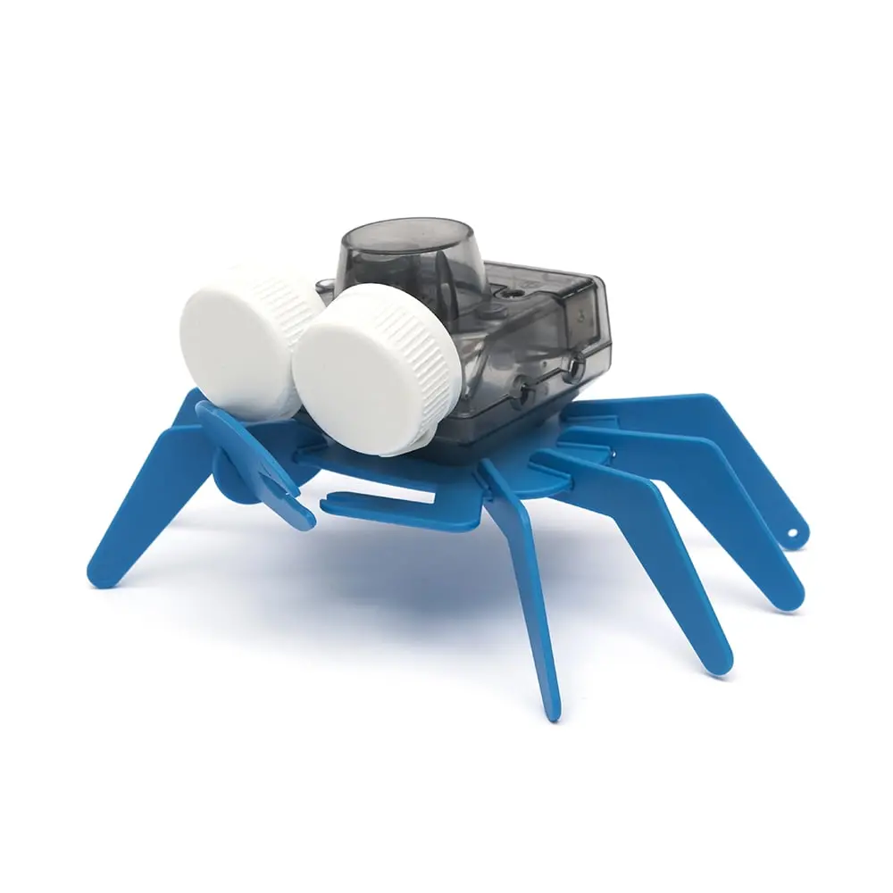Playsteam Ocean Friends Battery-Powered Sea Turtle & Crab Kit 1